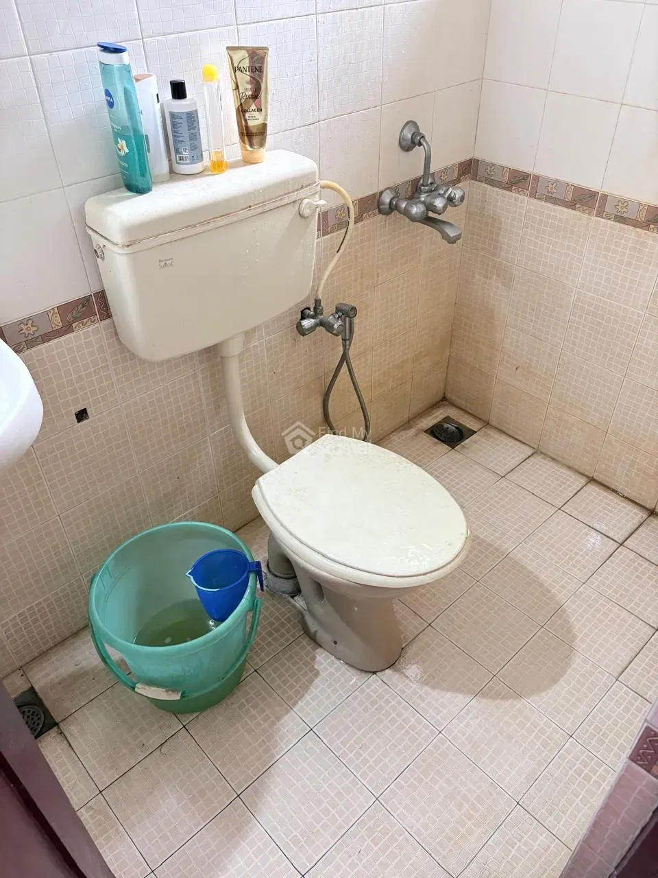 Habibiz Nest in Kaloor, Ernakulam — photo 5