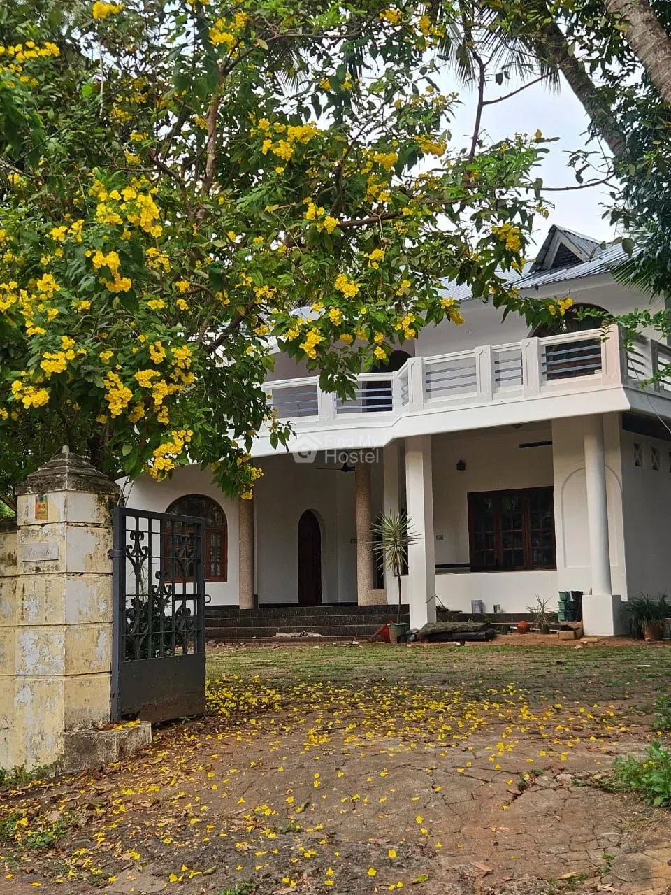 Lavender homestay for girls - 2 in Calicut Town, Kozhikode — photo 2