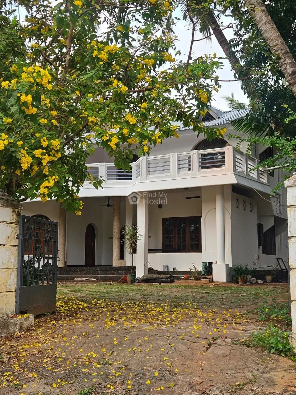 Lavender homestay for girls - 2 in Calicut Town, Kozhikode — photo 3