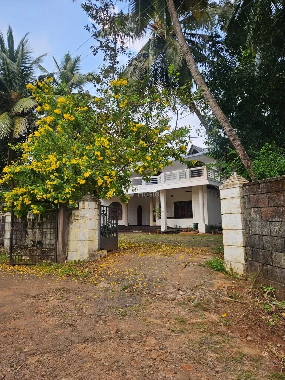 Lavender homestay for girls - 2 in Calicut Town, Kozhikode — main photo