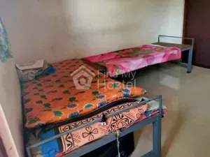 Awesome Ladies Hostel in Kalamassery, Ernakulam — photo 3
