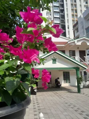 ROYAL LADIES HOSTEL