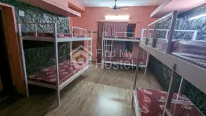 Olive Girls Hostel in Kadavanthra, Ernakulam — photo 3