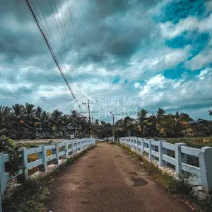 Peringavu