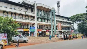 Vellimadukunnu