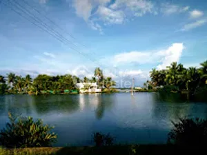 Panangad