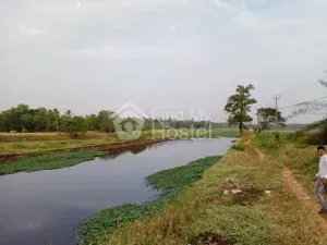 Aranattukara